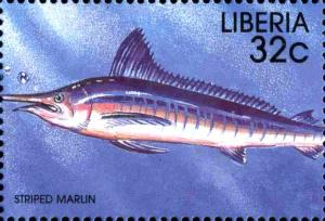 Colnect-3977-616-Striped-Marlin-Makaira-audax--.jpg