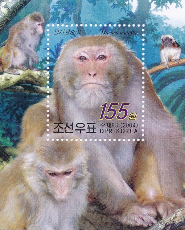 Colnect-3277-776-Rhesus-monkey-Macaca-mulatta.jpg