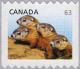 Colnect-3134-498-Woodchuck-Marmota-monax---perf-92.jpg