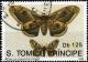 Colnect-4741-797-Emperor-Moth-Saturnia-pavonia.jpg