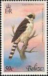 Colnect-1594-446-Laughing-Falcon-nbsp-Herpetotheres-cachinnans.jpg