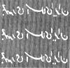 Colnect-2112-735-Seyed-Modjtaba-Navab-Safavi-1924---1955-back.jpg