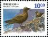 Colnect-4905-777-Brown-Noddy-Anous-stolidus.jpg