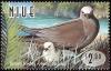 Colnect-5935-589-Brown-noddy-Anous-stolidus.jpg