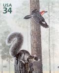 Colnect-2783-143-Fox-Squirrel-Sciurus-niger-Red-bellied-Woodpecker-Melane.jpg