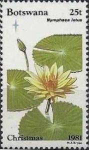 Colnect-1754-729-Nymphaea-lotus.jpg