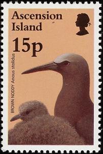 Colnect-4414-470-Brown-Noddy-Anous-stolidus.jpg