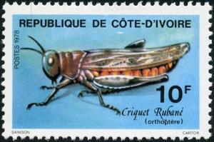 Colnect-1630-452-Red-Locust-Nomadacris-septemfasciata.jpg
