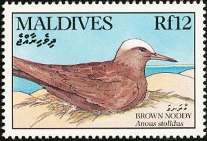 Colnect-1631-858-Brown-Noddy-Anous-stolidus.jpg