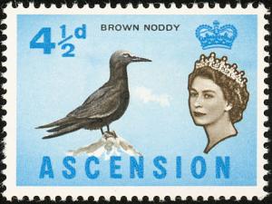 Colnect-1946-468-Brown-Noddy-Anous-stolidus.jpg