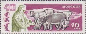 Colnect-887-302-Cattle-Bos-nbsp-primigenius-taurus.jpg