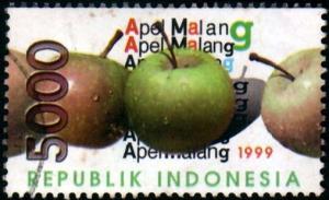 Colnect-941-327-Surabaya-99-National-Stamp-Exhibition.jpg