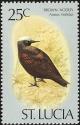 Colnect-1506-969-Brown-Noddy-Anous-stolidus.jpg