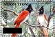 Colnect-3561-482-African-Paradise-Flycatcher-nbsp--nbsp--nbsp--nbsp-Terpsiphone-viridis.jpg