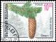 Colnect-3856-696-Norway-spruce.jpg