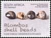 Blombos-Shell-Beads-oldest-ornaments.jpg