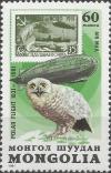 Colnect-5463-061-Snowy-Owl-Bubo-scandiacus.jpg