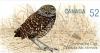 Colnect-765-279-Burrowing-Owl-Athene-cunicularia.jpg