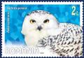 Colnect-6456-844-Snowy-Owl-Bubo-scandiacus.jpg