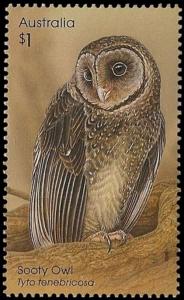 Colnect-6314-240-Sooty-Owl-Tyto-tenebricosa.jpg