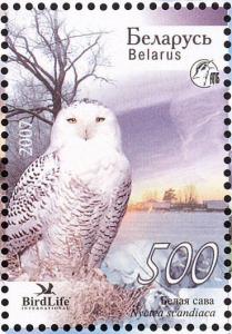 Colnect-857-425-Snowy-Owl-Bubo-scandiacus.jpg