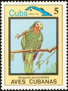 Colnect-3564-320-Cuban-Amazon-Amazona-leucocephala.jpg