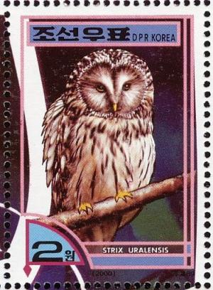 Colnect-1614-841-Ural-Owl-Strix-uralensis.jpg