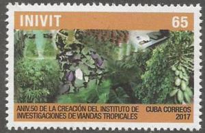 Colnect-4597-788-50th-Anniversary-of-the-Tropical-Plant-Institute.jpg