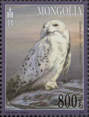 Colnect-4728-044-Snowy-Owl-Bubo-scandiacus.jpg