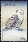 Colnect-1641-823-Snowy-Owl-Bubo-scandiacus.jpg