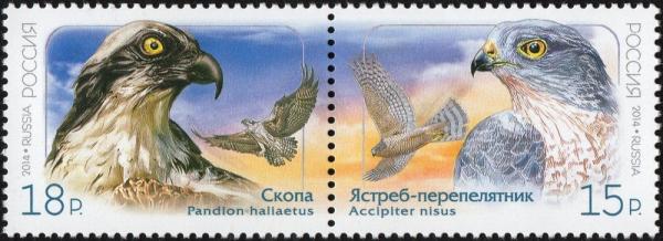 Colnect-2302-545-Joint-issue-of-Russia--amp--DPRK-Birds.jpg