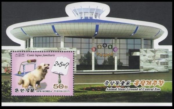 Colnect-4579-895-The-Pyongyang-Zoo-Dog-Canis-lupus-familiaris.jpg
