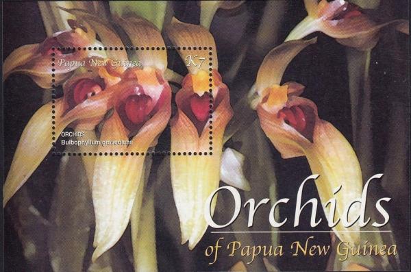 Colnect-4709-531-Orchids-of-Papua-New-Guinea-2.jpg