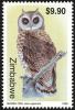 Colnect-860-638-Marsh-Owl%C2%A0Asio-capensis.jpg