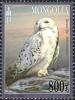 Colnect-4216-661-Snowy-Owl-Bubo-scandiacus.jpg