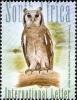 Eagle-Owl.jpg