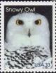 Colnect-201-214-Snowy-Owl-Bubo-scandiacus.jpg
