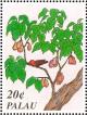 Colnect-2425-172-Carninal-Myzomela-Myzomela-cardinalis-Wax-Apple-Tree-Syz.jpg