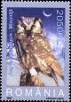 Colnect-5177-728-Boreal-Owl-Aegolius-funereus.jpg