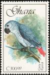 Colnect-1459-766-African-Grey-Parrot-Psittacus-erithacus.jpg