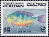 Colnect-1514-188-Blue-barred-Parrotfish-Scarus-ghobban.jpg