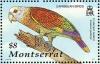 Colnect-1785-058-St-Vincent-Parrot-Amazona-guildingii.jpg
