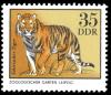Colnect-1979-681-Amur-Tiger-Panthera-tigris-altaica-.jpg