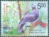 Colnect-4370-542-Nilgiri-Wood-Pigeon-Columba-elphinstonii.jpg