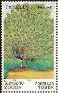 Colnect-1614-701-Green-Peafowl-Pavo-muticus.jpg