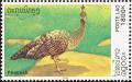 Colnect-1614-702-Green-Peafowl-Pavo-muticus.jpg