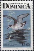 Colnect-2264-771-Black-capped-Petrel-Pterodroma-hasitata.jpg