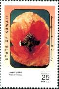 Colnect-5313-593-Common-Poppy-Papaver-rhoeas.jpg