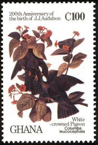 Colnect-1459-757-White-crowned-Pigeon-Columba-leucocephala.jpg