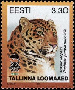 Colnect-4835-697-Amur-Leopard-Panthera-pardus-orientalis-.jpg